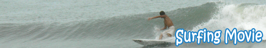 サーフィン　動画
